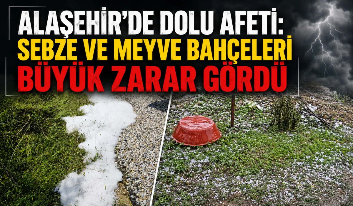 Alaşehir&rsquo;de Dolu Felaketi: Tarım Alanlarında B&uuml;y&uuml;k Zarar Oluştu