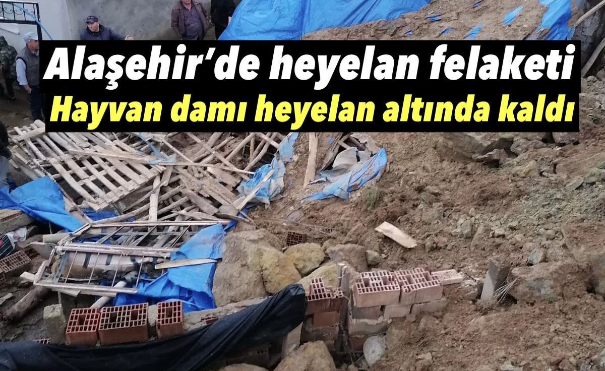 Alaşehir&rsquo;de Heyelan Felaketi: Hayvan Damı G&ouml;&ccedil;&uuml;k Altında Kaldı