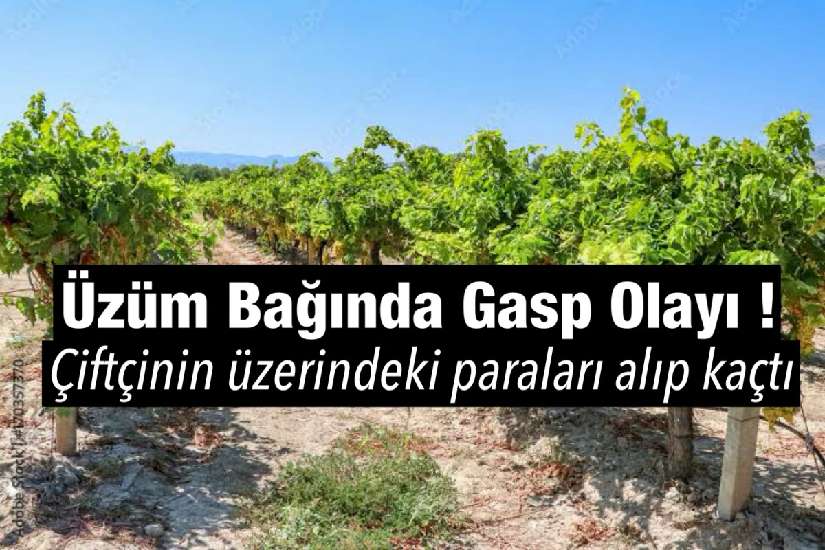 Alaşehir’de Üzüm Bağında Gasp Olayı: Çiftçi Tehditle Soyuldu