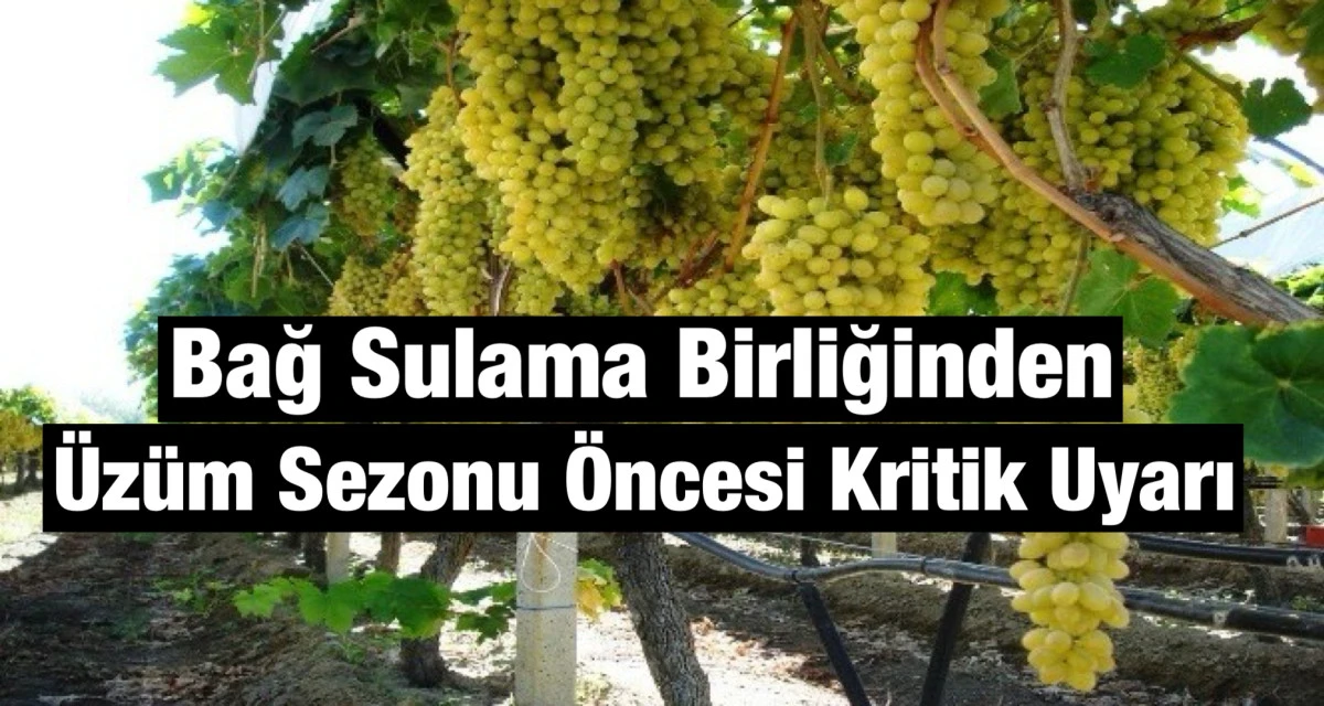 Alaşehir&rsquo;de &Uuml;z&uuml;m Sezonu &Ouml;ncesi Kritik Uyarı: Sulama Beyannamesi İ&ccedil;in Son Tarih 30 Mart