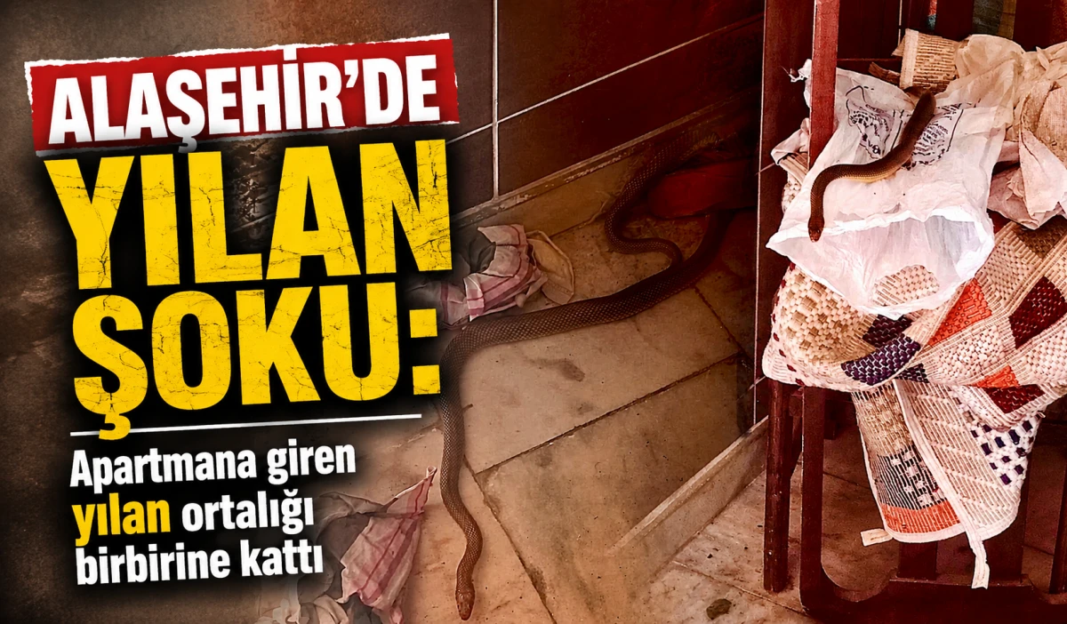 Alaşehir&rsquo;de Yılan Paniği: Apartman Sakinleri Kapıları Kapalı Tutma &Ccedil;ağrısı Yaptı 