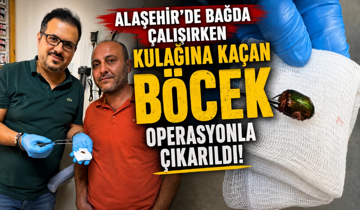 Alaşehirli &Ccedil;ift&ccedil;inin Kulağından &Ccedil;ıkan B&ouml;cek Şaşkına &Ccedil;evirdi! G&uuml;nlerce S&uuml;ren Ağrının Nedeni Ortaya &Ccedil;ıktı