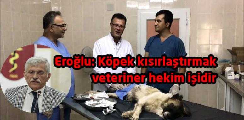Eroğlu: Köpek kısırlaştırmak veteriner hekim işidir