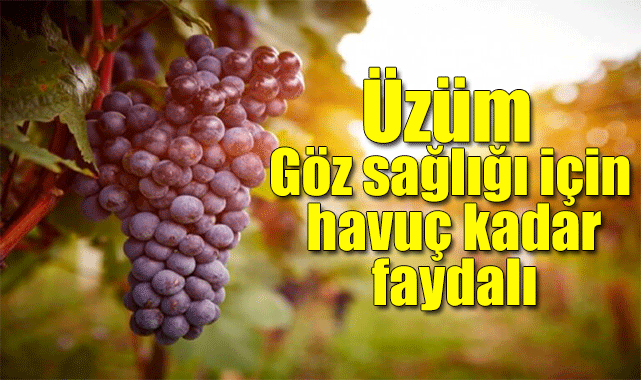Üzüm, göz sağlığı için havuç kadar faydalı 