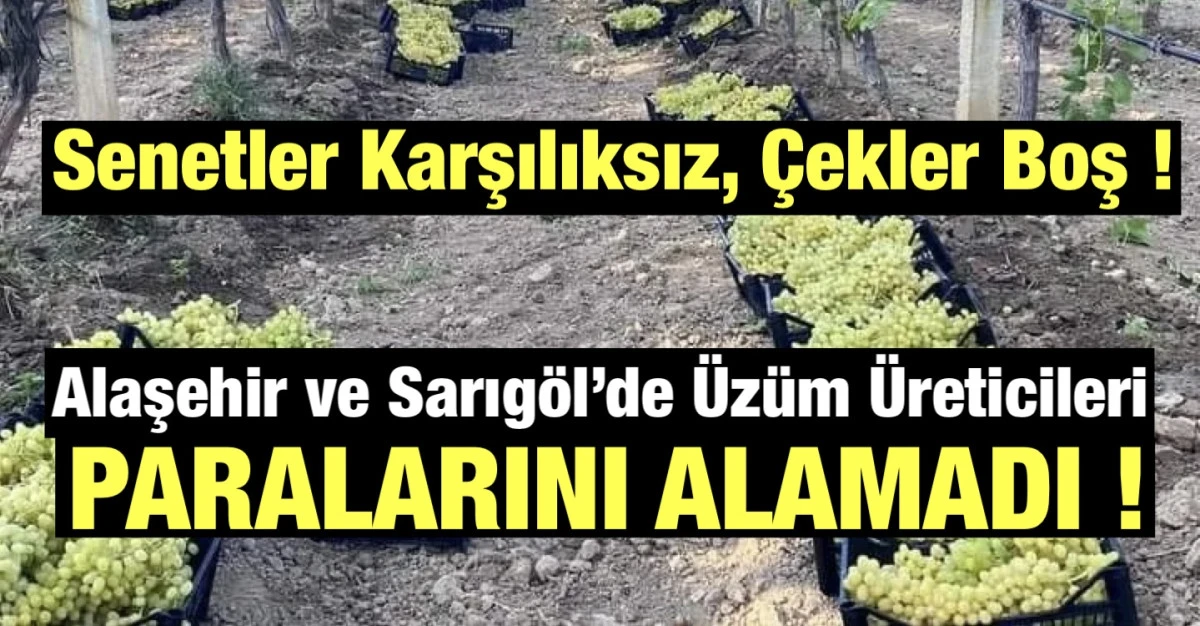 &Uuml;z&uuml;m Hasadı Bitti, Paralar Gelmedi: Firmalara Teslim Edilen &Uuml;z&uuml;mlerin Parası &Ouml;denmiyor! 
